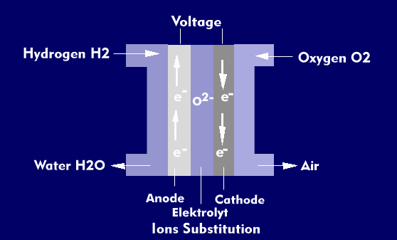 Structure of the PEMFC fuel cell