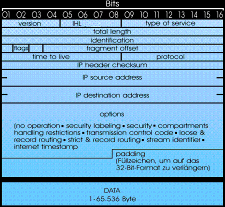 Structure of the IP data frame