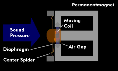 Structure of the plunger coil microphone