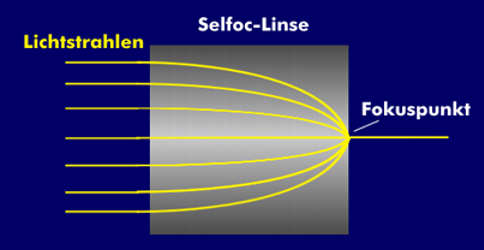 Aufbau einer Selfoc-Linse