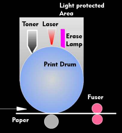 Structure of a laser printer