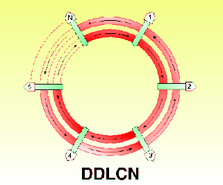 DDLCN-Doppelringe