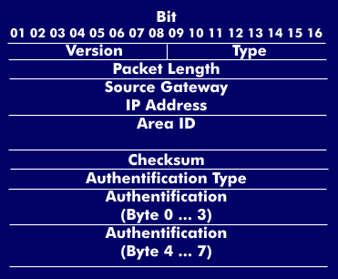 Data frame of the OSPF protocol