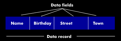 Data record with multiple data fields