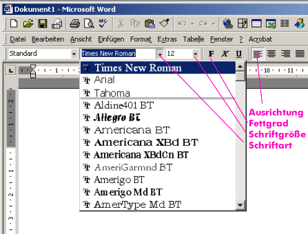 Some font and typesetting functions in Word
