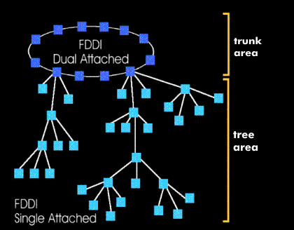 FDDI topology with trunk and tree area
