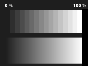 Grayscale with 16 and 265 levels