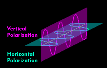 Horizontal and Vertical Polarization of Electromagnetic W