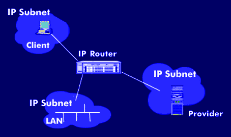 IP subnets connected via an IP router to form an IP network
