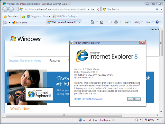 Internet Explorer Version 8, Screenshot: Microsoft