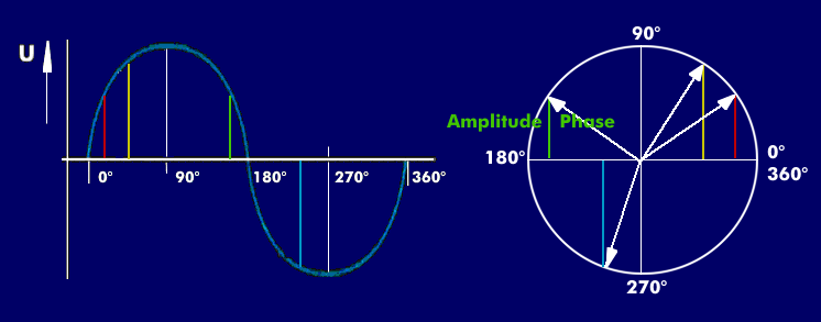 Circular frequency representation with amplitude, phase and phasors