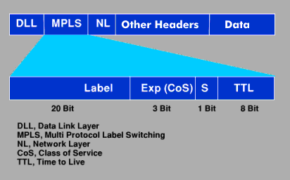MPLS data frame