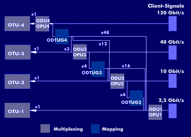 Multiplexhierarchie des OTN