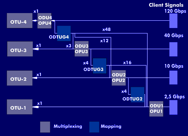 Multiplex hierarchy of the OTN