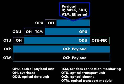 OTN structure of data units