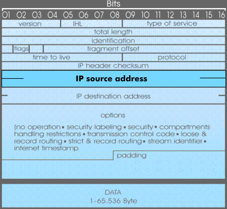 Source address field in IP header