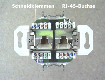 Schneidklemmen in einer RJ-45-Datendose