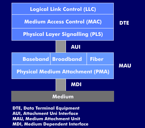 Struktur des Medienanschlusses mit MAU- und AUI-Kabel