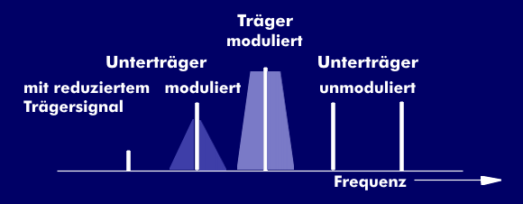 Träger mit modulierten und unmodulierten Unterträgern